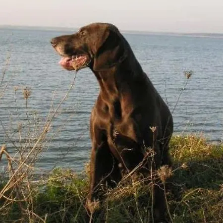 Sommersonne Haushaelfte *