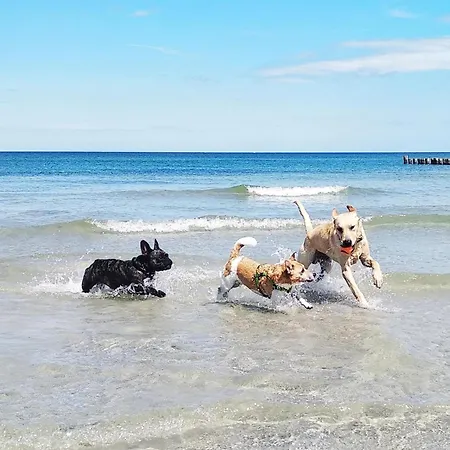 Sommersonne Haushaelfte *